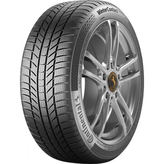 195/55R20 95H XL TS870P